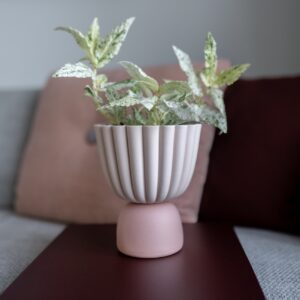 mini-urn-met-plantenpot